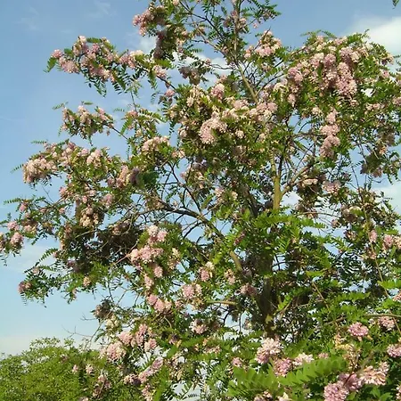 Lägenhet Ferien Im Naturschutzgebiet