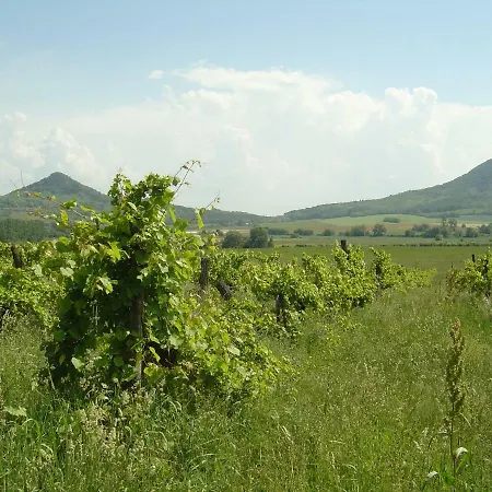 Ferien Im Naturschutzgebiet Lägenhet