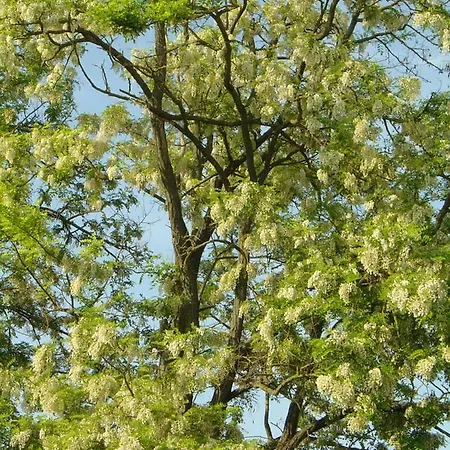 Ferien Im Naturschutzgebiet Lägenhet *
